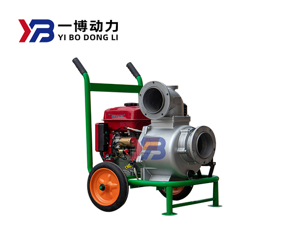 Hand push water pump