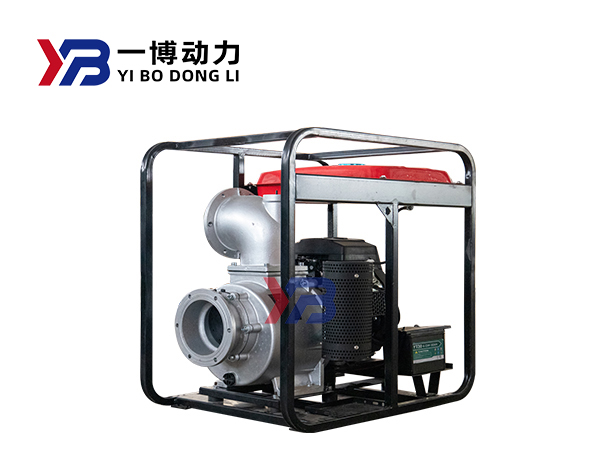 Gasoline double cylinder water pump