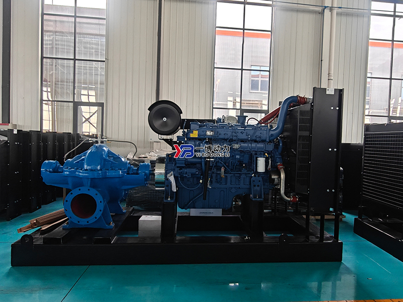 2000 cubic meter double suction pump. jpg